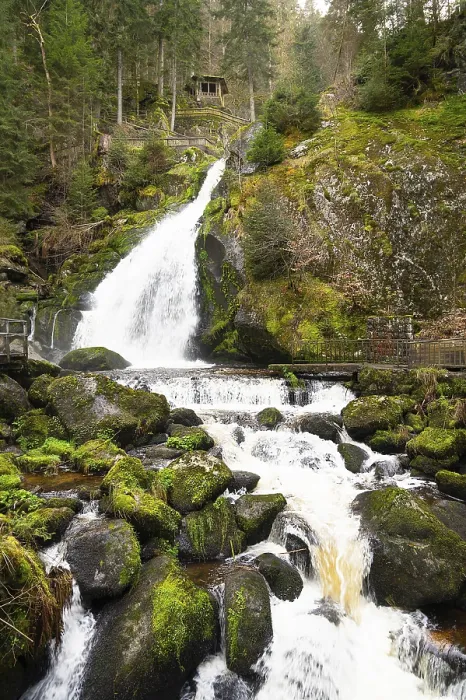Framed Print : Triberg Waterfall Print, Germany's Highest Fall