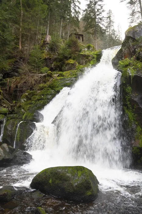 Framed Print : Triberg Waterfall Print, Germany's Highest Fall