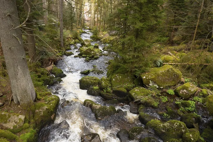 Framed Print : Triberg Waterfall Print: Germany's Highest Fall