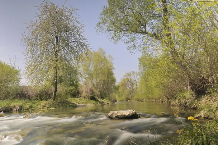 Framed Print : Triesting River in Spring Print, Lower Austria Framed Print : Triesting River in Spring Print, Lower Austria