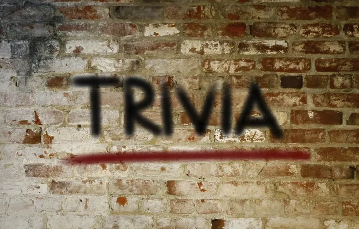 Framed Print : Concept Trivia Print Framed Print : Concept Trivia Print