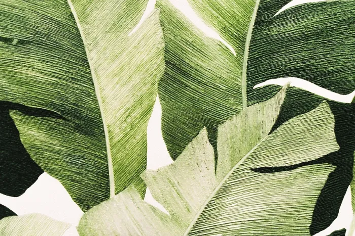 Framed Print : Tropical Plants Print Wallpaper Design Framed Print : Tropical Plants Print Wallpaper Design