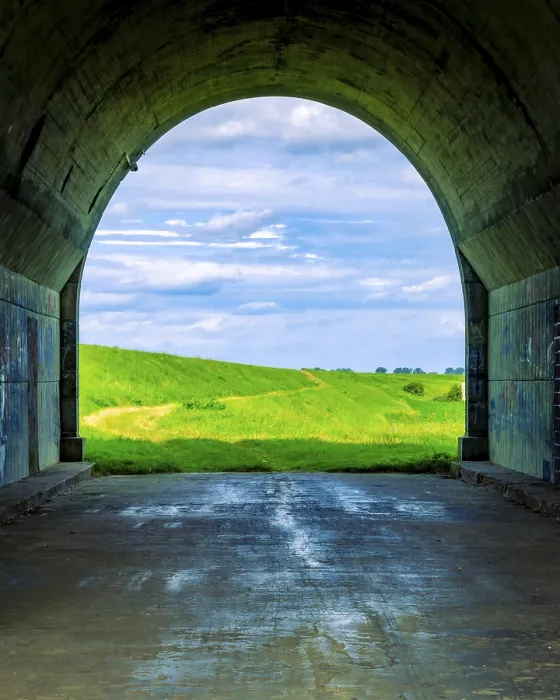 Framed Print : Tunnel and meadows Print, Tczew, Poland