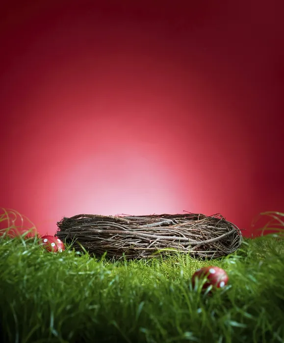 Framed Print : Turf in front of a red background Print - Easter Scene Framed Print : Turf in front of a red background Print - Easter Scene