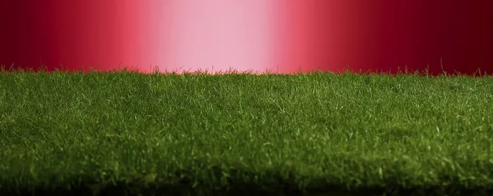 Framed Print : Studio Shot of Turf Print on Red Background Framed Print : Studio Shot of Turf Print on Red Background