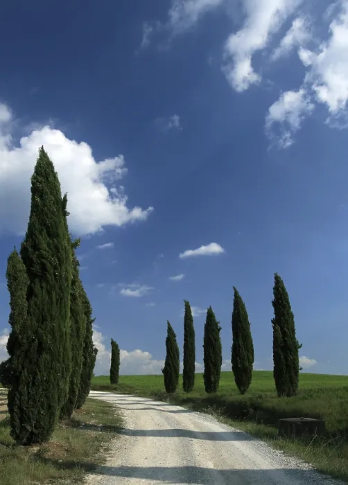 Framed Print : Tuscany Landscape Print Framed Print : Tuscany Landscape Print
