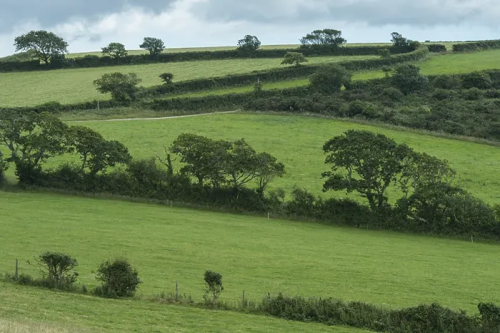 Framed Print : Typical Cornish Landscape Print, Newquay, Cornwall Framed Print : Typical Cornish Landscape Print, Newquay, Cornwall