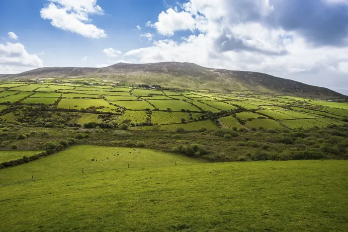 Framed Print : Typical Hilly Landscape Print, Dingle Peninsula, Ireland Framed Print : Typical Hilly Landscape Print, Dingle Peninsula, Ireland
