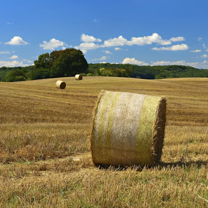Framed Print : Typical Hilly Landscape Print, Uckermark Germany Framed Print : Typical Hilly Landscape Print, Uckermark Germany