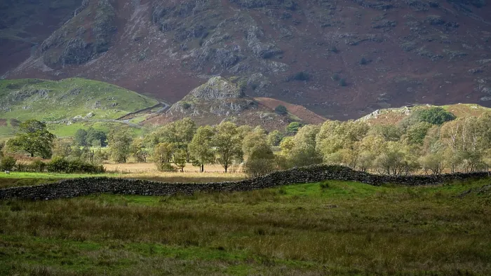 Framed Print : Typical Landscape with Stone Wall Print, Lake District National Park Framed Print : Typical Landscape with Stone Wall Print, Lake District National Park