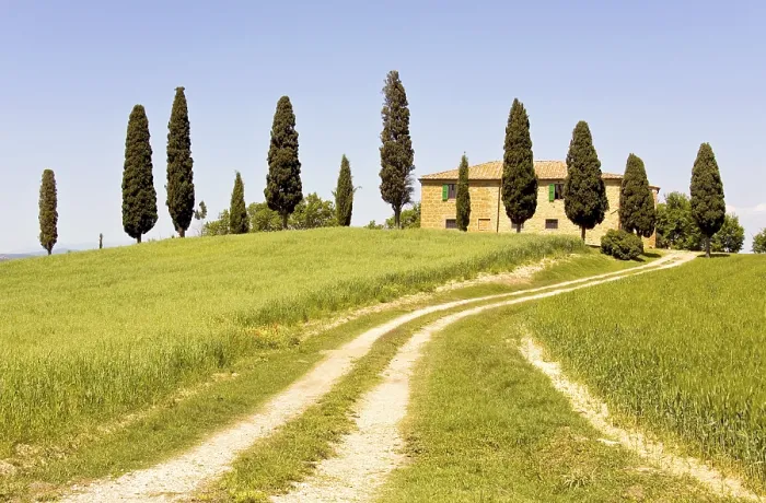 Framed Print : Typical Tuscany Print: Rolling Hills and Cypress Trees Framed Print : Typical Tuscany Print: Rolling Hills and Cypress Trees