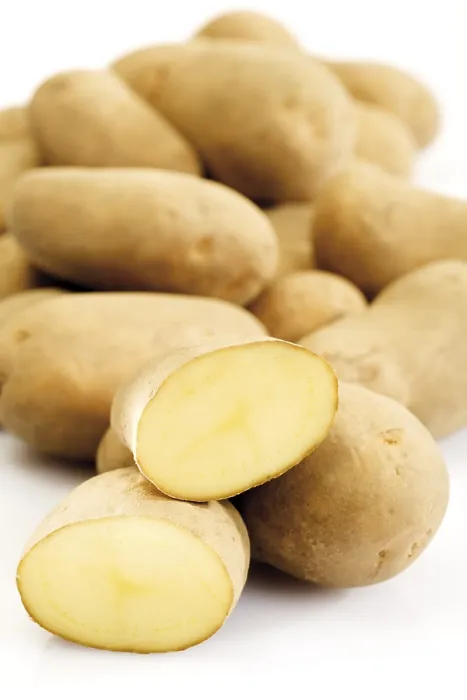 Framed Print : Uncooked Potatoes Print Framed Print : Uncooked Potatoes Print
