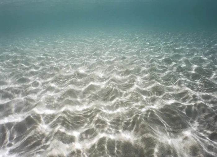 Framed Print : Underwater Scene Print Framed Print : Underwater Scene Print