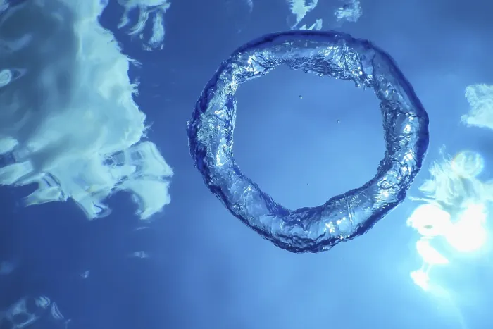 Framed Print : Underwater Bubble Ring Ascends towards the Sun Print Framed Print : Underwater Bubble Ring Ascends towards the Sun Print