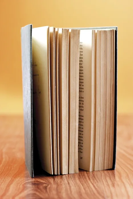 Framed Print : Upright Book Print by imageBROKER Framed Print : Upright Book Print by imageBROKER