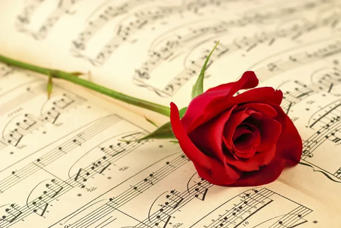 Framed Print : Print of Musical Notes and Red Rose with Selective Focus Framed Print : Print of Musical Notes and Red Rose with Selective Focus
