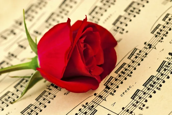 Framed Print : Print of Musical Notes and Red Rose with Selective Focus Framed Print : Print of Musical Notes and Red Rose with Selective Focus
