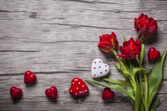 Framed Print : Valentine's Day Print with Chocolates and Tulips Framed Print : Valentine's Day Print with Chocolates and Tulips