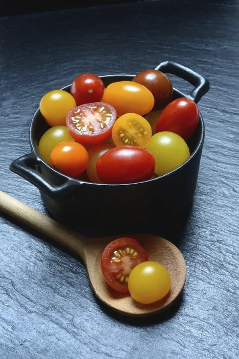 Framed Print : Cherry Tomatoes in Pots Print Framed Print : Cherry Tomatoes in Pots Print