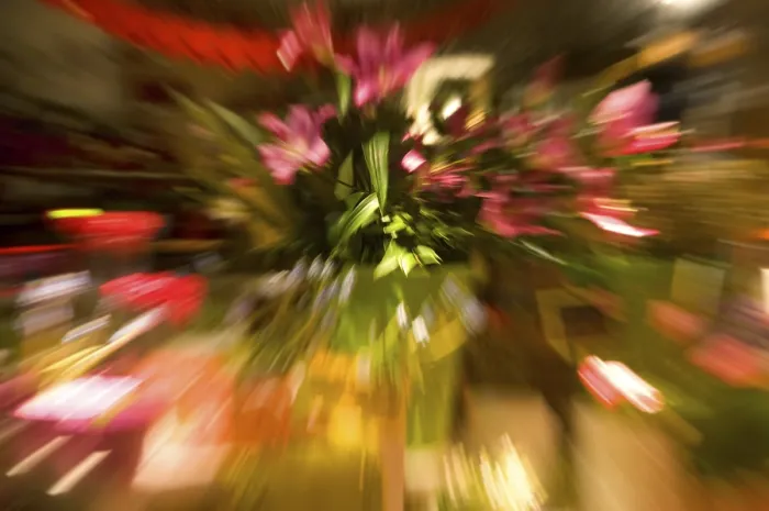 Framed Print : Various Flowers Print with Zoom Effect Framed Print : Various Flowers Print with Zoom Effect
