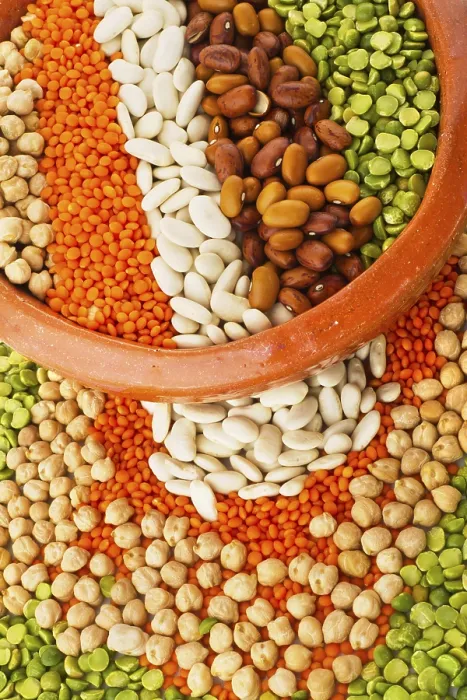 Framed Print : Legume Pattern Print Framed Print : Legume Pattern Print