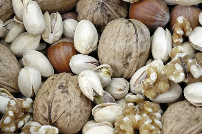Framed Print : Various Nuts Print - Walnuts, Hazelnuts, Pistachios Framed Print : Various Nuts Print - Walnuts, Hazelnuts, Pistachios