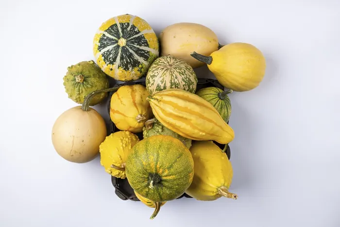 Framed Print : Ornamental Pumpkins in Baskets Print Framed Print : Ornamental Pumpkins in Baskets Print