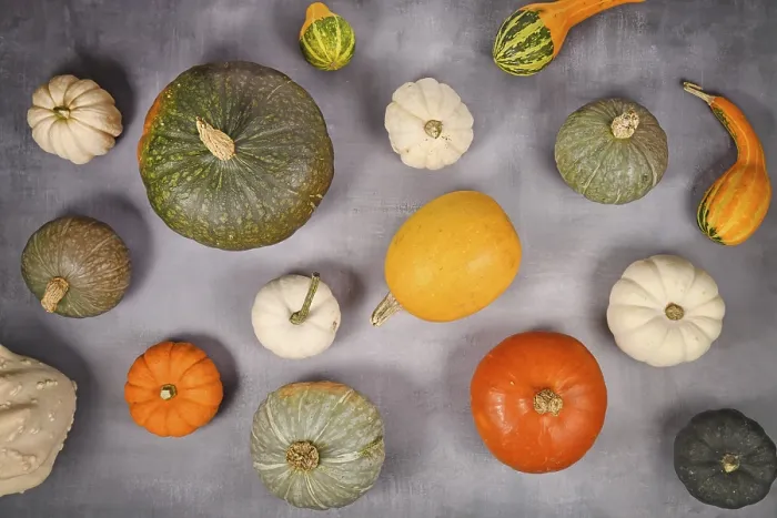 Framed Print : Various Pumpkins Print on Gray Background