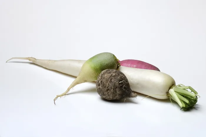 Framed Print : Various Radishes Print Framed Print : Various Radishes Print