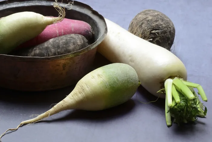 Framed Print : Various Radishes Print, Raphanus Sativus Framed Print : Various Radishes Print, Raphanus Sativus
