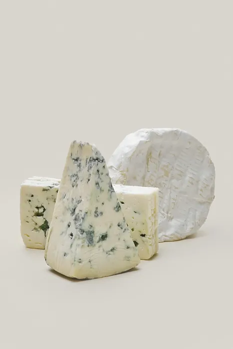 Framed Print : Blue Mold Cheese Print Collection Framed Print : Blue Mold Cheese Print Collection