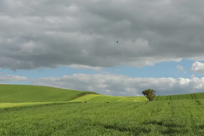 Framed Print : Vibrant Fields Under Dramatic Gray Skies Print