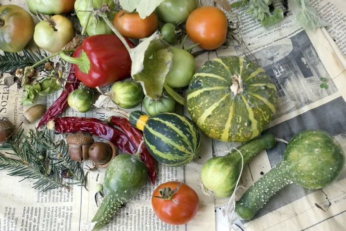 Framed Print : Vegetable Print - Vegetable Still Life Framed Print : Vegetable Print - Vegetable Still Life