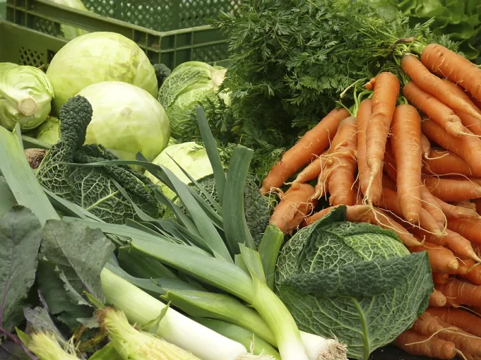 Framed Print : Veggies Veggies Print Framed Print : Veggies Veggies Print