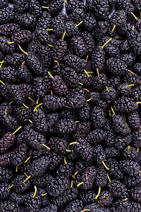 Framed Print : Top View Assortment Mulberries Print Framed Print : Top View Assortment Mulberries Print