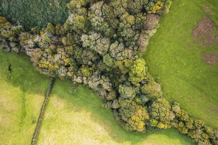 Framed Print : Devon Fields Autumn Colors Drone Print, England UK Framed Print : Devon Fields Autumn Colors Drone Print, England UK
