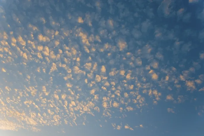 Framed Print : Cirrocumulus Clouds at Dusk Print, Ilsede, Germany Framed Print : Cirrocumulus Clouds at Dusk Print, Ilsede, Germany