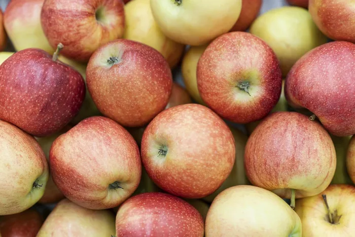 Framed Print : Top View Bunch Apples Print Framed Print : Top View Bunch Apples Print