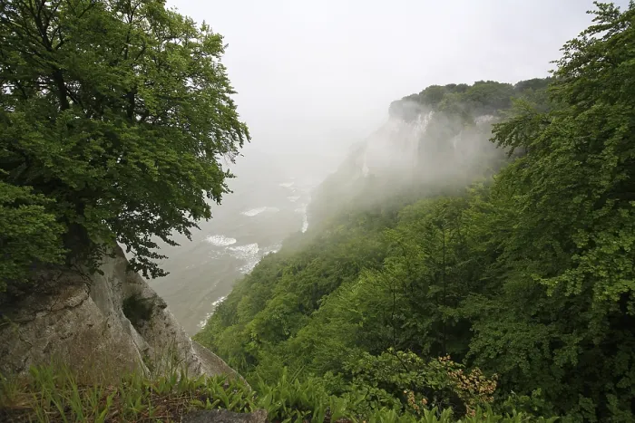 Framed Print : View onto the Chalk Cliffs with Beech Forest Print, Germany Framed Print : View onto the Chalk Cliffs with Beech Forest Print, Germany