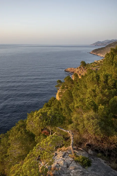 Framed Print : View over the cliffs and sea, Majorca Print Framed Print : View over the cliffs and sea, Majorca Print