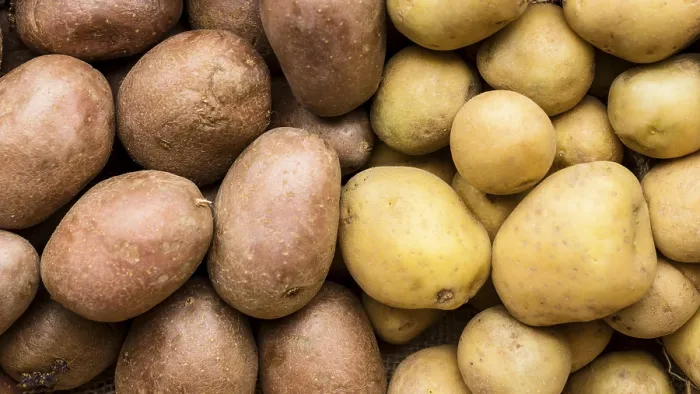 Framed Print : Top View Different Kinds of Potatoes Print Framed Print : Top View Different Kinds of Potatoes Print