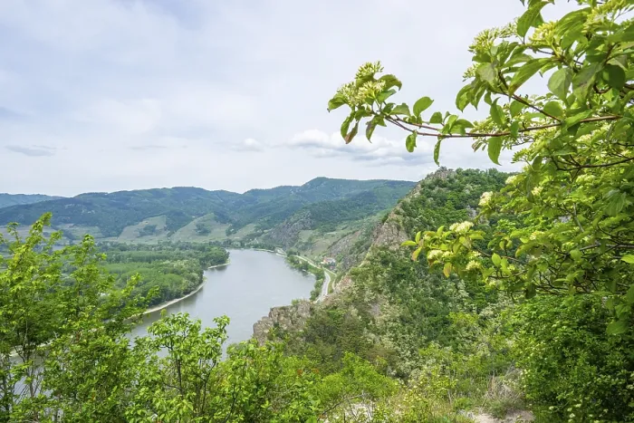 Framed Print : View from Durnstein Castle in Spring Print, Wachau Austria Framed Print : View from Durnstein Castle in Spring Print, Wachau Austria