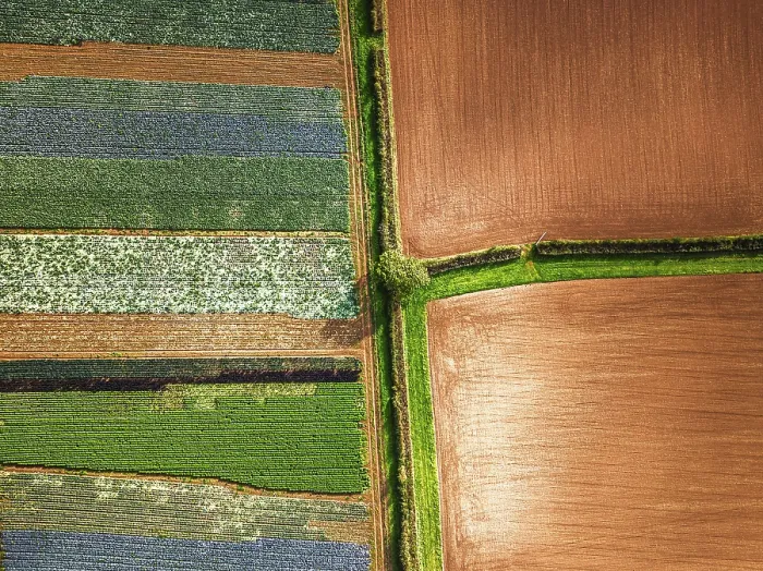 Framed Print : Devon Fields Drone View Print, UK Framed Print : Devon Fields Drone View Print, UK
