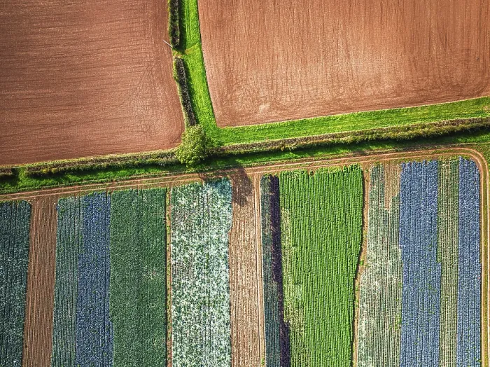 Framed Print : Devon Fields Drone View Print, England Framed Print : Devon Fields Drone View Print, England