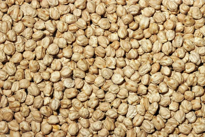 Framed Print : Raw Chickpeas Print: Natural Texture and Pattern Framed Print : Raw Chickpeas Print: Natural Texture and Pattern