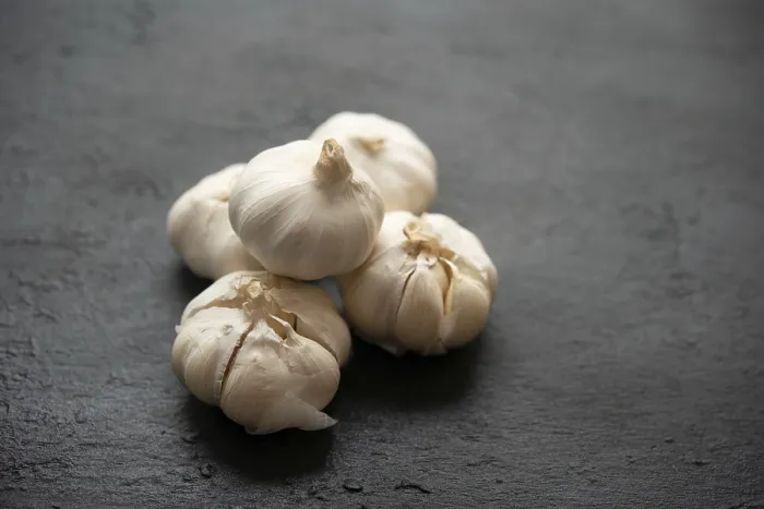 Framed Print : Dark Background Garlic Print with Copy Space Framed Print : Dark Background Garlic Print with Copy Space