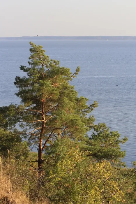 Framed Print : View from the Gnitz Peninsula Print, Usedom, Germany Framed Print : View from the Gnitz Peninsula Print, Usedom, Germany