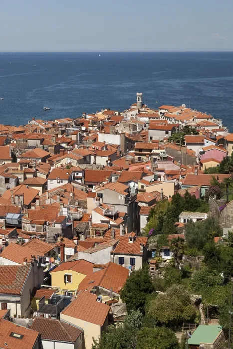Framed Print : View of Piran's Historic Centre with Lighthouse Print