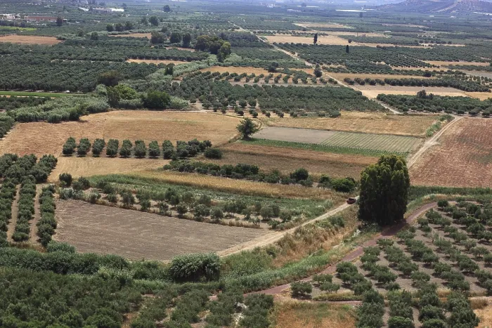Framed Print : View over the Mesara plain, Print of Olive Trees in Crete Framed Print : View over the Mesara plain, Print of Olive Trees in Crete