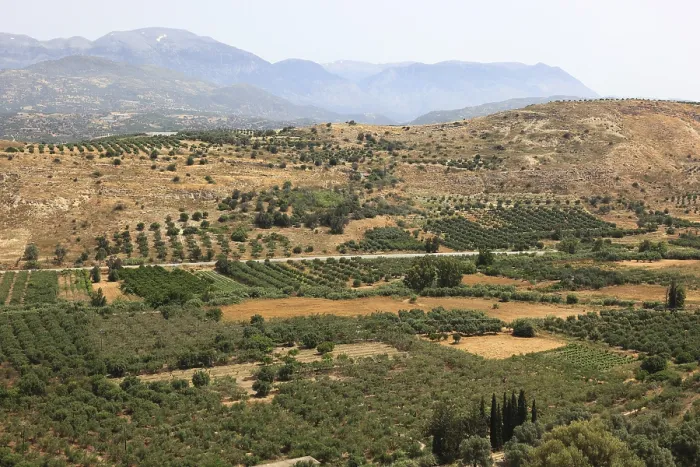 Framed Print : View over the Mesara plain olive tree Print, Crete, Greece Framed Print : View over the Mesara plain olive tree Print, Crete, Greece